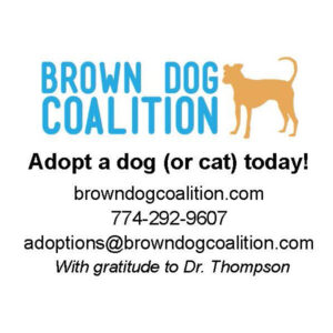 Brown Dog Coalition and Rescue