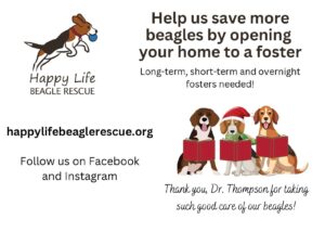 Happy Life Beagle Rescue, Inc.