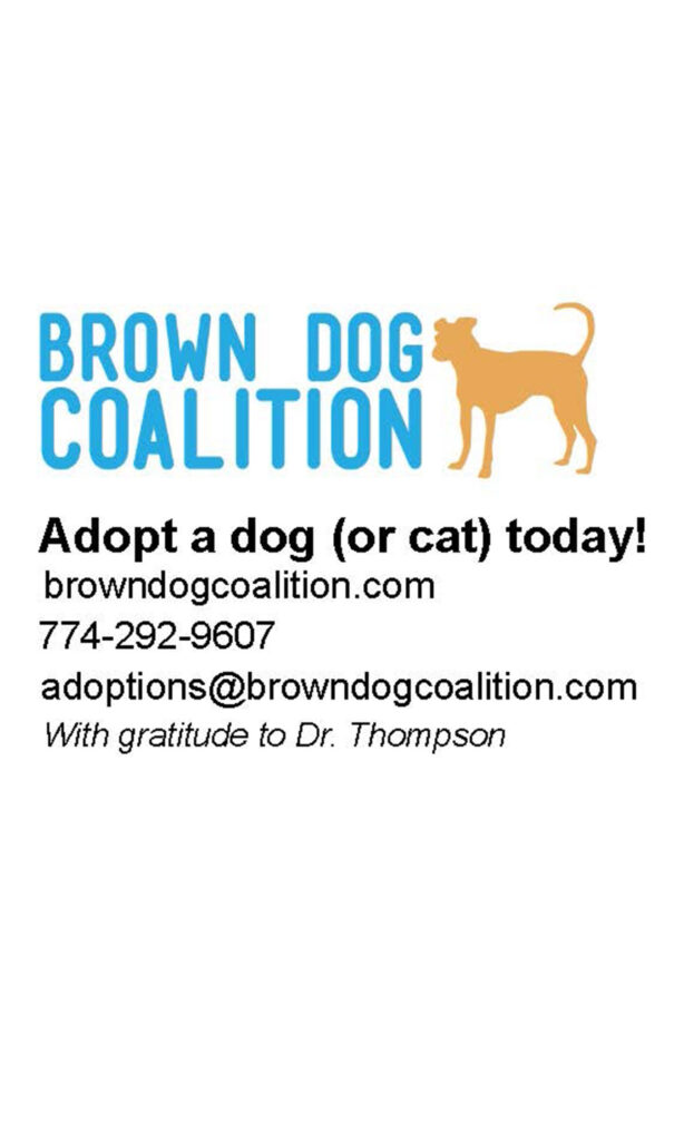 BROWN DOG COALITION