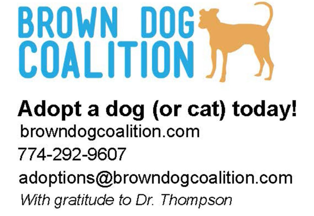 Brown Dog Coalition