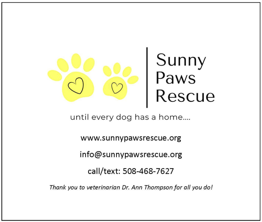 Sunny Paws Rescue